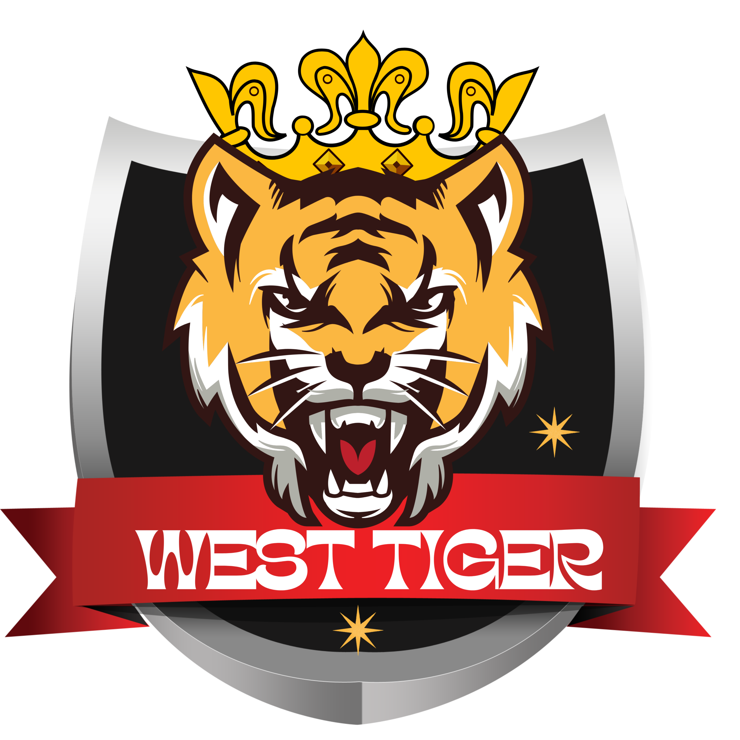 Big Moves in Indian Sports: West Tigers Open Franchise Bidding for Upcoming Ranball Action